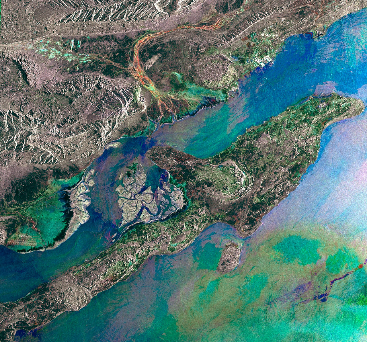 db.tour-related.title