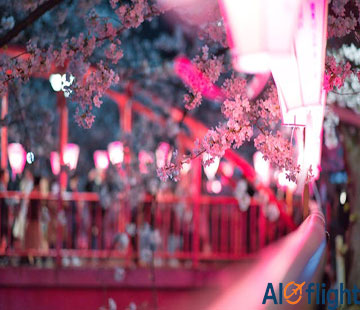 سفر به ژاپن؛ کشوری میان سنت و مدرنیته